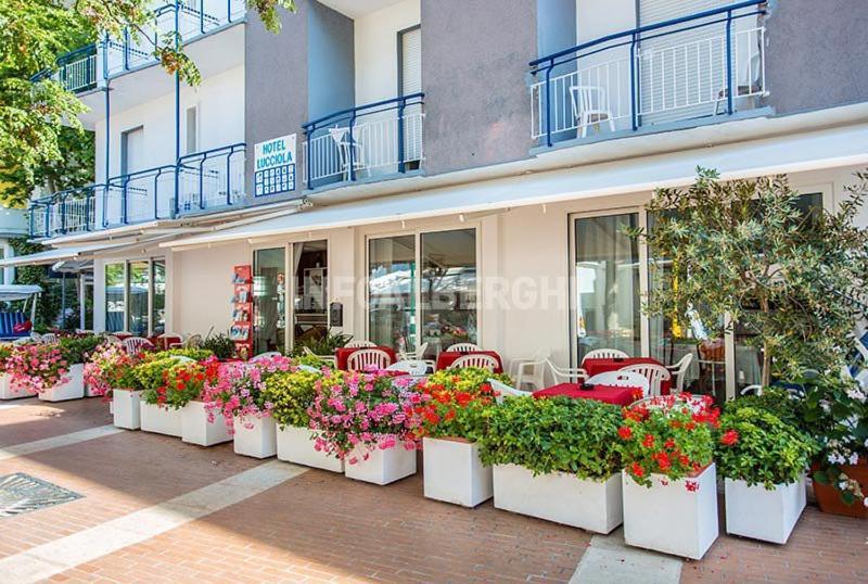 B&B Hotel Lucciola Cattolica Exterior photo